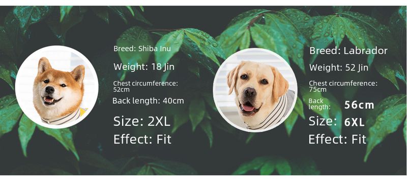 Winter warme grenzüberschreitende vierbeinige mittelgroße und große Hunde kältebeständiges Fleece-gefüttertes Labrador Golden Retriever Haustier Hundekleidung Großhandel_voghion.com