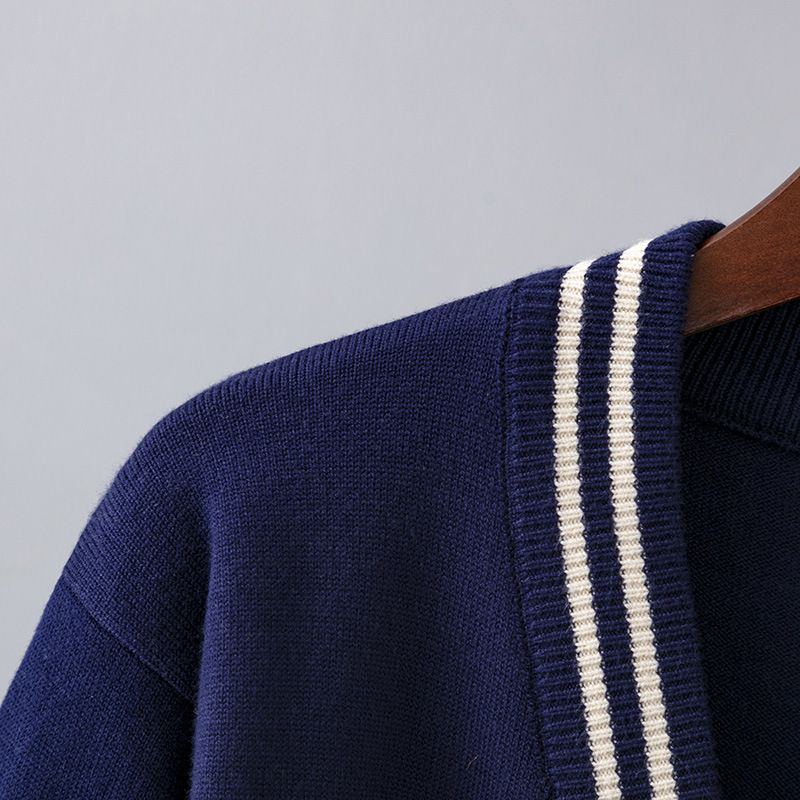 Damenbekleidung Lockere, lässige Oberbekleidung für Frühling und Herbst, französischer Pullover für Damen mit aufgestickten Bienen, dicker Strickpullover, Strickjacke_voghion.com