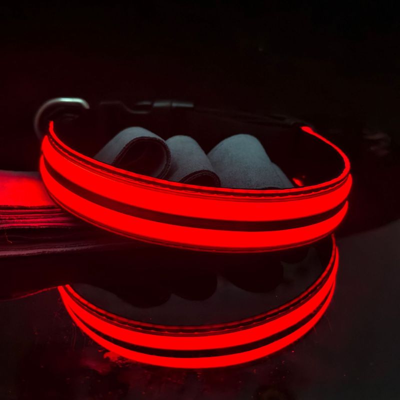 Nieuwe LED USB oplaadbare lichtgevende halsband voor huisdieren_voghion.com