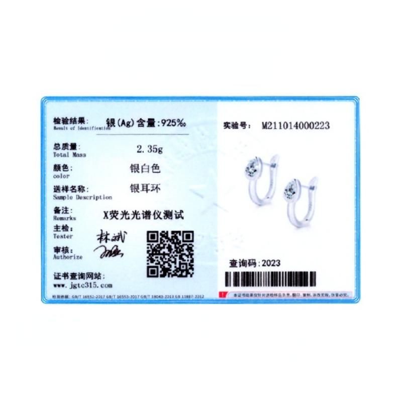 Tancise Orecchini pendenti con zirconi d'argento per le donne Regali per feste di matrimonio_voghion.com