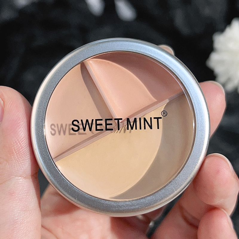 Concealer-Palette, wasserfeste Creme-Textur, deckt Akne-Markierungen, Augenringe, multifunktionales Make-up, langlebig, Bri ab_voghion.com