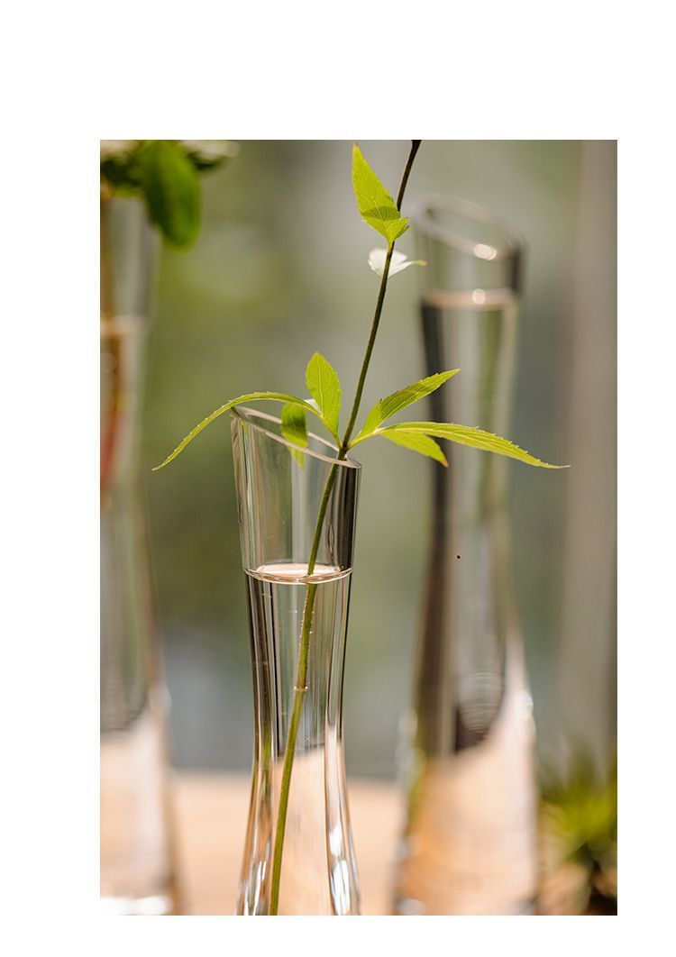 【 46000 People Collected 】 Juhan Nordic Ins High Beauty Arrangement Water Nourishing Small Vase Glass Transparent_voghion.com