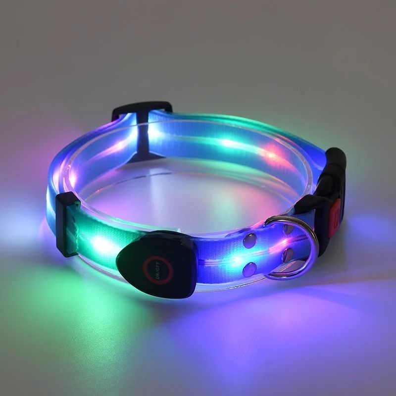 Coleira luminosa anti-perda para caminhada noturna com luz para cães_voghion.com