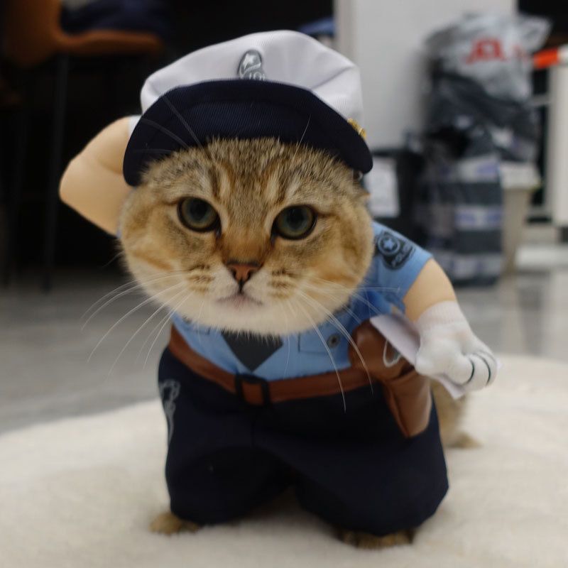 Spring And Autumn Pet Clothing Cute Funny Quirky Costume Hilarious Cat Dog Clothes Standing Transformation Outfit 3D_voghion.com