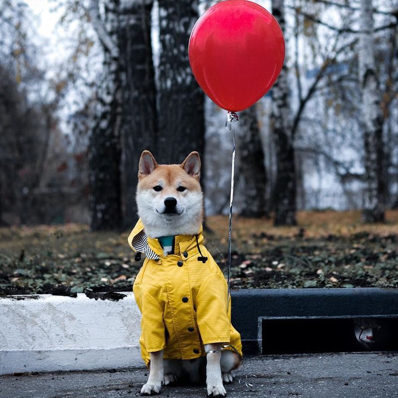 Ins Capa de chuva à prova de vento, casaco britânico grosso para cães, roupa para animais de estimação da moda_voghion.com