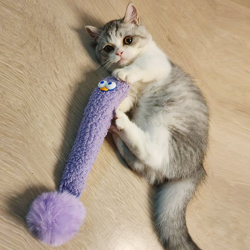 Nuovo simbolo che stuzzica l'animale domestico con un cuscino per l'autointrattenimento con un giocattolo per gatti che calcia con erba gatta e carta stropicciata_voghion.com