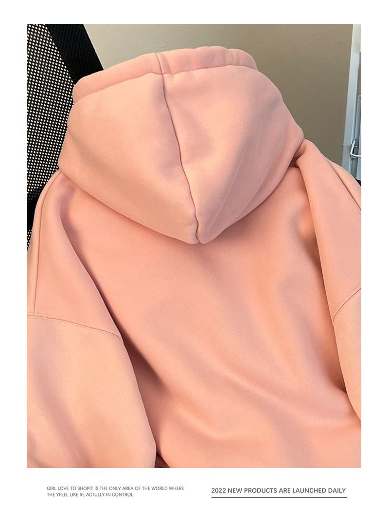 Women's Clothing plush sweatshirt with embroidered flowers for autumn and winter warm tops, thickened and loose large size women's hooded sweatshirt_voghion.com