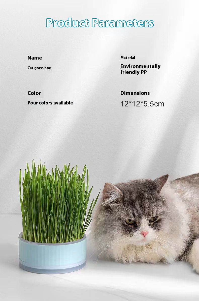 Universal Hydroponic Lazy Grass Box för husdjursplantning, hårtrimning, hjälper matsmältningen, kattsnacks_voghion.com