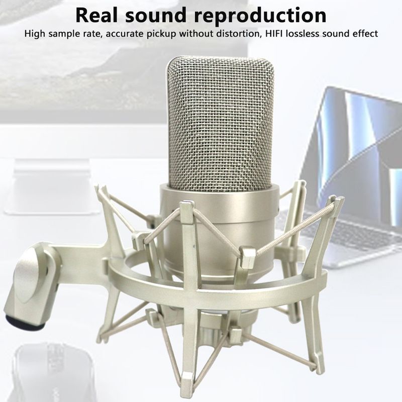 Professional Condenser Microphone Studio Wired Microphone For PC Laptop Computer Mic Karaoke Singing Streaming Sound_voghion.com