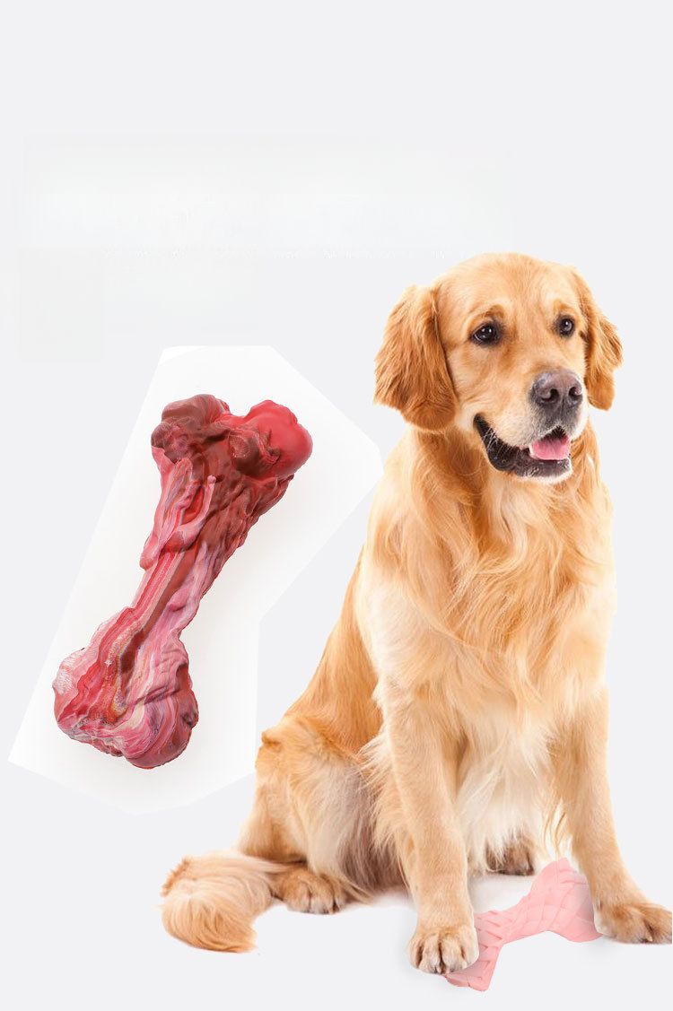 Pet Rubber Realistic Big Bone Teeth Grinding Durable Chew Dog Toy_voghion.com