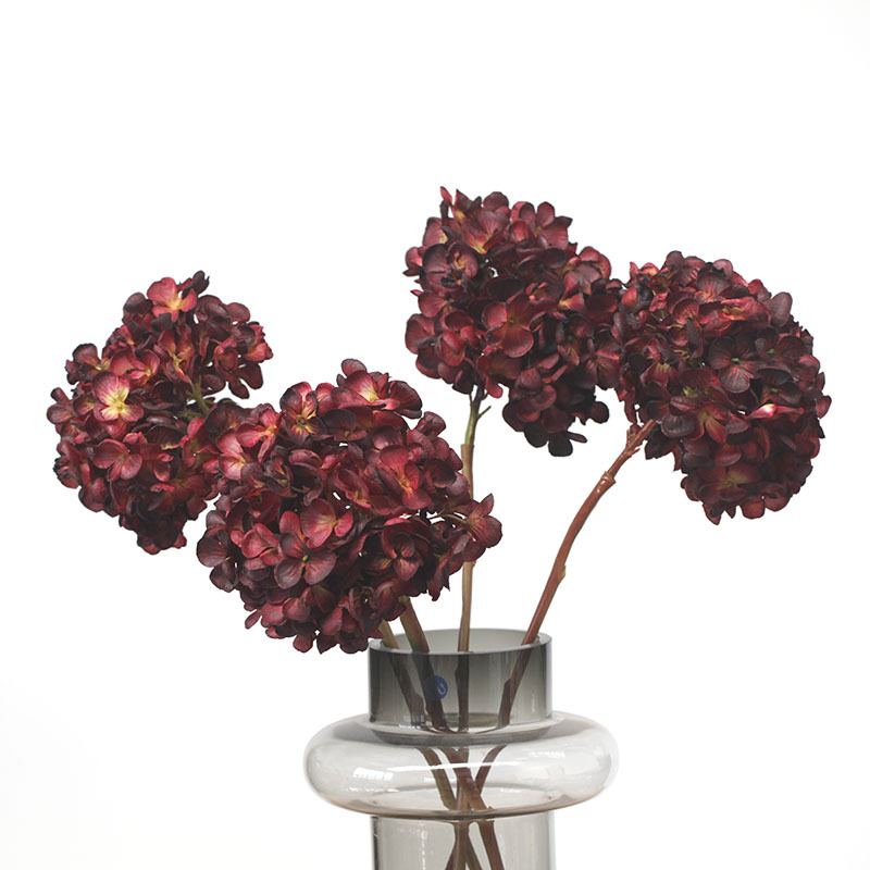 Blummen, grouss Hortensien mat verbranntem Rand, Retro Uelegmolerei, Hochzäitsdekoratioun fir doheem an Hoteler, Blummenkonscht_voghion.com