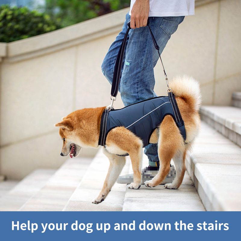 Venta directa de fábrica de ropa auxiliar para mascotas, cinturón auxiliar para caminar para perros mayores y discapacitados, cinturón auxiliar para debilidad en las patas traseras de perros viejos_voghion.com