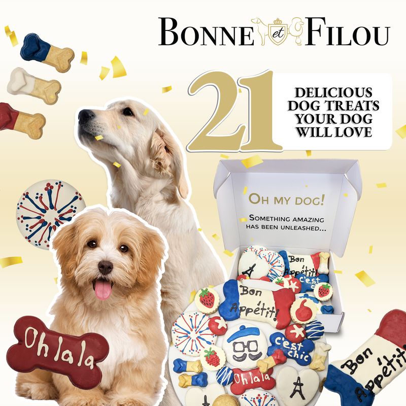 French Themed Dog Treats Gift Box_voghion.com