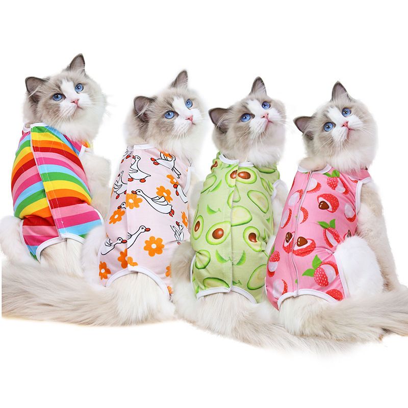 Combinaison de stérilisation post-opératoire pour chat, série Fruit, vêtements pour animaux de compagnie quatre saisons, couverture complète pour petits et moyens chiens_voghion.com