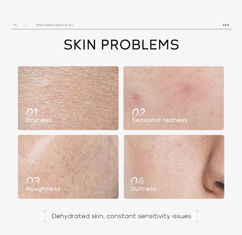 Kits d'outils de maquillage Nouveau coffret de soins du visage hydratants Laico cinq pièces_voghion.com