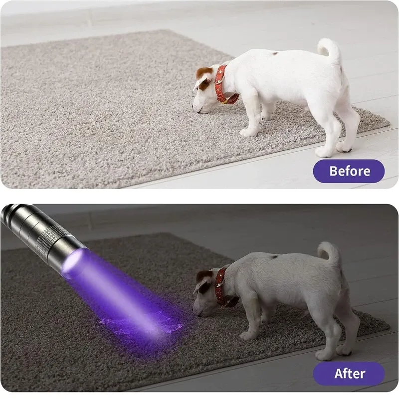 UVFlashlight395nmUltravioletTorchWithPenClipPortableAAABatteriesUsedVioletLightPetUrineScorpionDetectorUVLamp_voghion.com