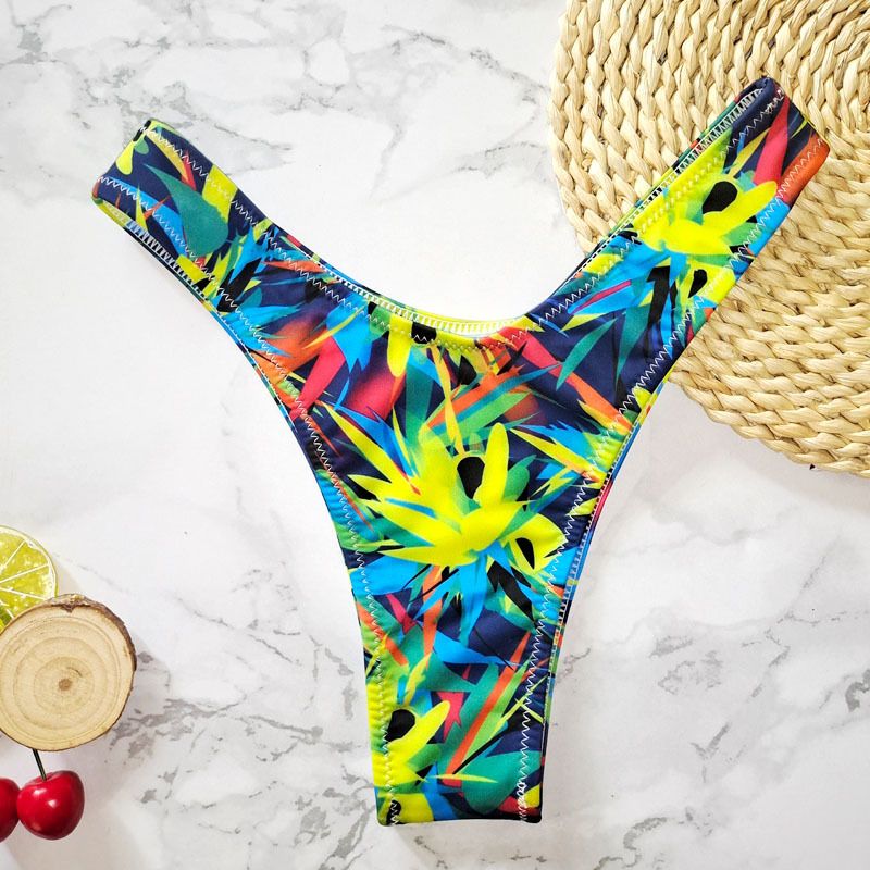 New Printed Women's Sexy Two-Piece Bikini Brazilian Hot Spring V-String Swim Bottoms_voghion.com