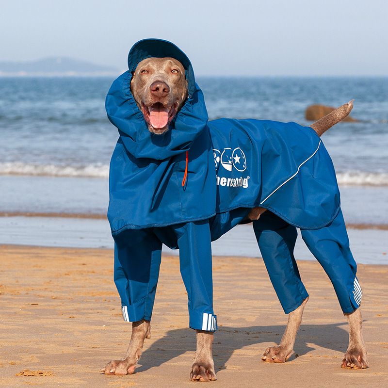 New Dog Raincoat Full Coverage Four-Legged Rain Poncho High-Quality Waterproof Strip Non-Blocking Pet Hooded Clothing_voghion.com
