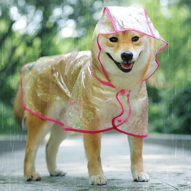 Pet Dog Puppy Transparent Rainwear Raincoat Pet Hooded Waterproof Jacket Clothes Soft PVC Small Dogs Raincoat Puppy Rain Poncho_voghion.com