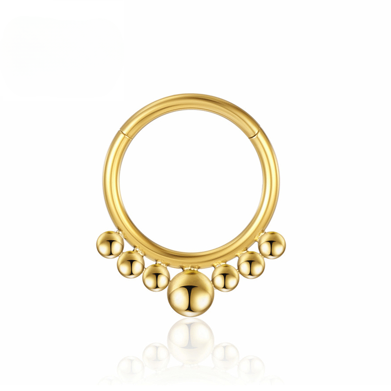 F136 Titanium Piercing Oorbellen Tragus Hoop Septum Neusring Zirkoon 16G Helix Kraakbeen Clicker Scharnierend segment Labret Lichaamssieraden groothandel_voghion.com