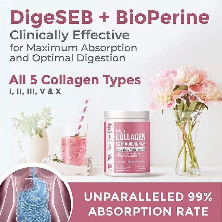 Integratore proteico in polvere idrolizzato da 335 g per supportare la salute delle articolazioni degli adulti, collagene di alta qualità_voghion.com