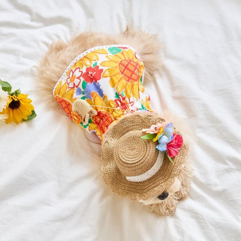 Abito da coppia in stile INS, stile coreano, con stampa di girasoli, 100% cotone, stile anni '60, abbigliamento autunnale e invernale per animali domestici e cani._voghion.com