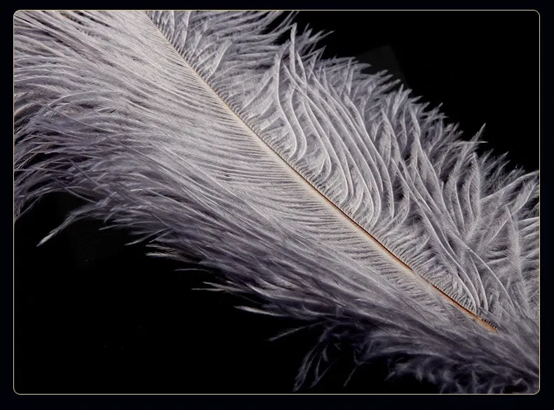 Frusta con piume per massaggio clitorideo, giocattoli per flirtare, bondage per adulti, giocattoli per coppie, sex shop_voghion.com