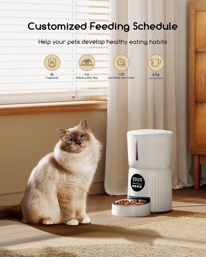 4L Futterautomat Katze, Katzenfutter Automat Mit Timer, Automatischer Futterspender Hunde, Edelstahlnapf, Programmierbarer 1-6 Mahlzeiten, 10s Voice_voghion.com