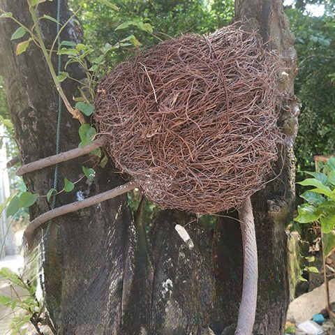 Paralume in rattan fatto a mano, con paralume in erba intrecciata, decorazione creativa da appendere al cerchio da giardino._voghion.com