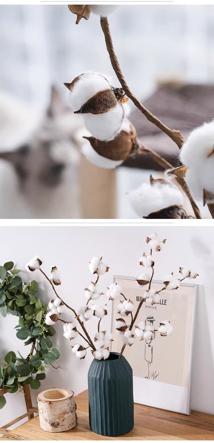 Bouquet de fleurs artificielles en coton de qualité supérieure – Tiges de coton séchées réalistes pour décoration intérieure, compositions de Noël et accessoires photo 48 cm_voghion.com