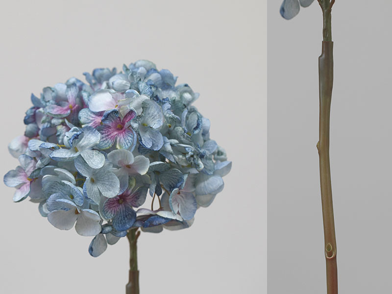 Blummen, grouss Hortensien mat verbranntem Rand, Retro Uelegmolerei, Hochzäitsdekoratioun fir doheem an Hoteler, Blummenkonscht_voghion.com