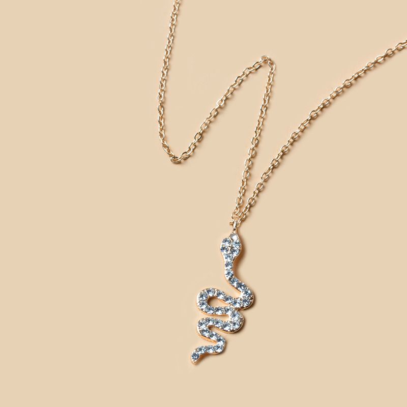 Ketting met hanger, trendy sieraden, slangenvormige elementenketting, persoonlijkheidsmode, slangenhanger, truiketting voor vrouwen_voghion.com