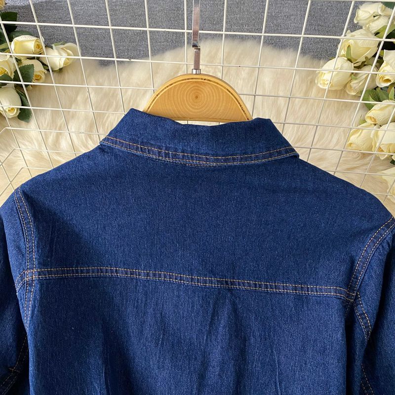 Dameskleding Licht Luxe Celebrity Stijl High End Polo Kraag Denim Jurk Voor Vrouwen Zomer Split Taille Riem Ontwerp Niche Temperament Lange Rok_voghion.com