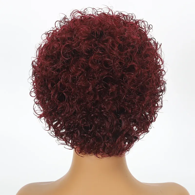 Curly Pixie Lace Human Hair Wig Water Wave Short Bob Wig for Women 13X1 Transparent Lace Cheap Ombre Burgundy_voghion.com
