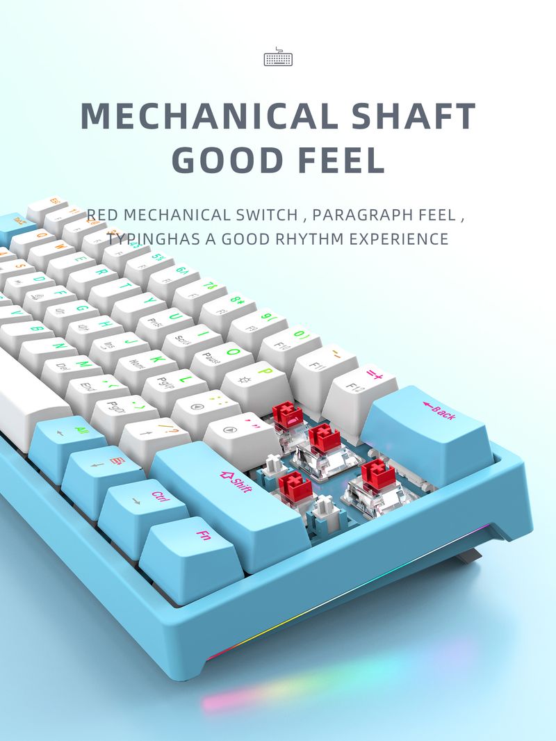 60% Wit RGB 61 Toetsen PBT Computer Gaming USB Bedraad Licht Led Gamer Mechanisch Toetsenbord_voghion.com