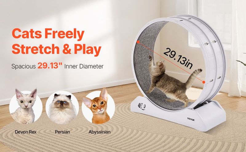 VEVOR Cat Exercise Wheel 31.5 In Large Indoor Cat Running Wheel Treadmill White_voghion.com
