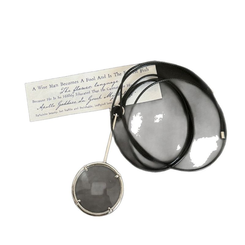 Collana con ciondolo a forma di lente d'ingrandimento, moda, semplice, versatile, elegante, design unico per clavicola e maglia a catena_voghion.com