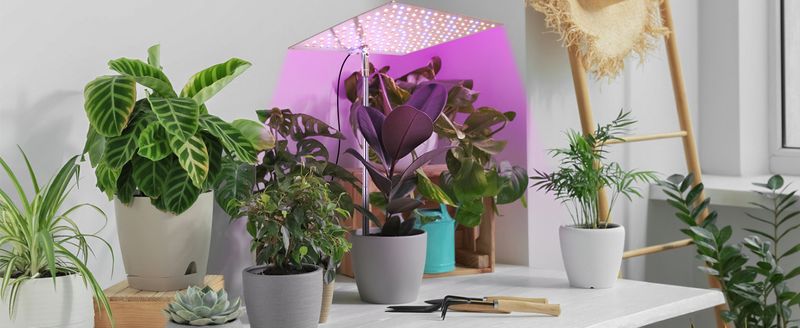 LED Plant Growth Lamp Lifting Full Spectrum Quantum Board Seedling Green Plant Aquarium Succulent Plant Fill Light Factory_voghion.com