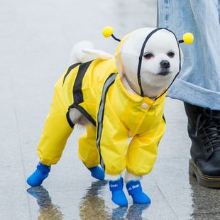 Dinosaur Dog Raincoat Four-legged Waterproof All-Inclusive Teddy Bigbear Pomeranian Small Dog Medium Large Dog Puppy Poncho_voghion.com