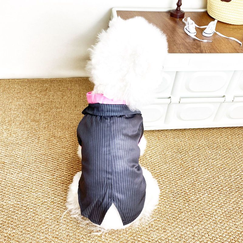 Nouveaux vêtements pour animaux de compagnie, costume smoking gentleman, vêtements pour chiots_voghion.com