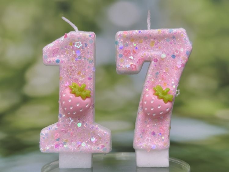 Digital Candle Cake Party Decoration Birthday Handmade Wax Pink Strawberry_voghion.com