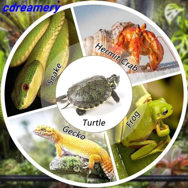Aquatische Klettern Haustier Schildkröte Bad Pool Reptil Fütterung Gericht Wasser Topf Landschaft Aquarium Dekoration Schildkröte Lebensraum_voghion.com