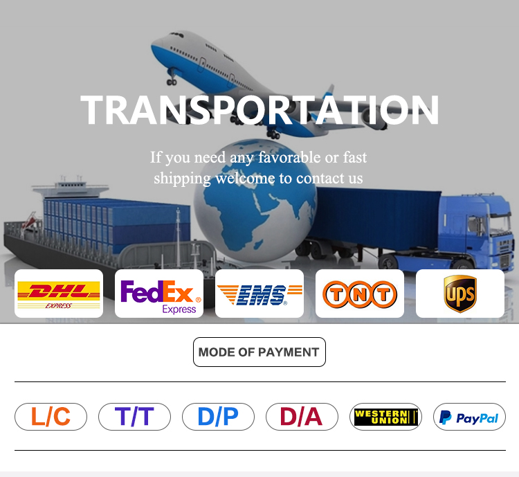 2022 Aangepaste Groothandel Zomer Elastische Taille Heren Running 100% Polyester Effen Kleur Trekkoord Zwemmen Mesh Strand Shorts230_voghion.com