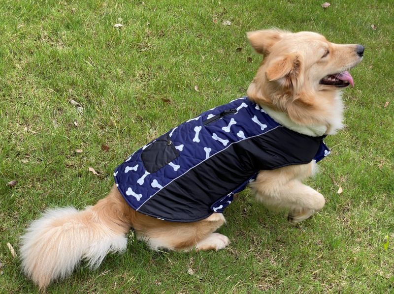 Pocket new pet clothes autumn and winter dog clothes vest cotton coat double sided wearable dog clothes coat clothing_voghion.com