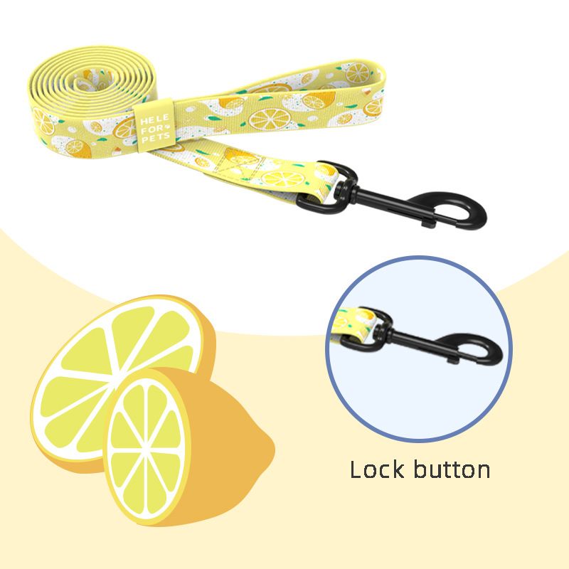 New Design Dog For Large, Medium, And Small Dogs Lemon Print Pet Outdoor Training Leash Collar_voghion.com