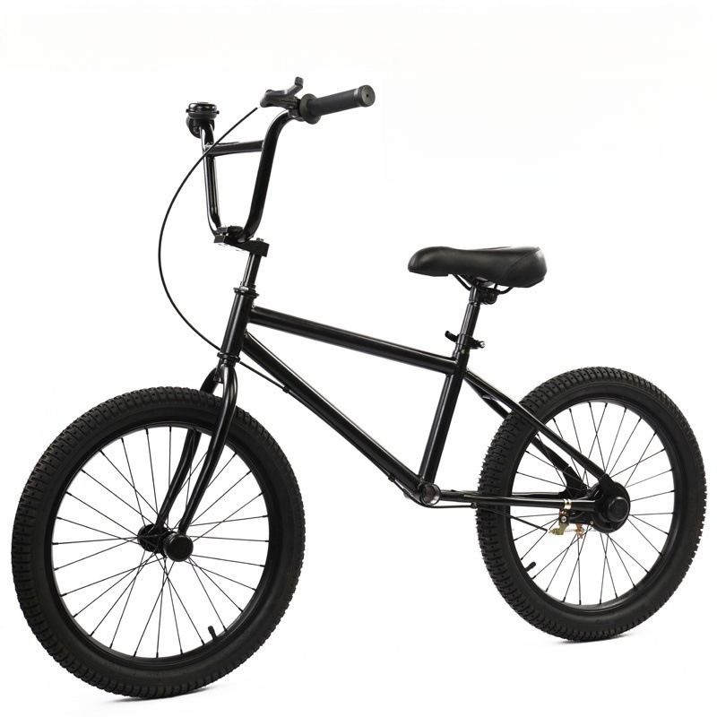 20inch Adult Balance Children's Training Companion Large Size Youth Sliding Big Wheel Bike_voghion.com