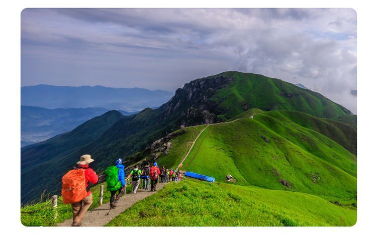 Bosim Süper Hafif Sağlam Kaymaz Trekking Bastonu Üç Bölmeli Teleskopik Taşınabilir Karbon Fiber Yürüyüş Bastonu_voghion.com