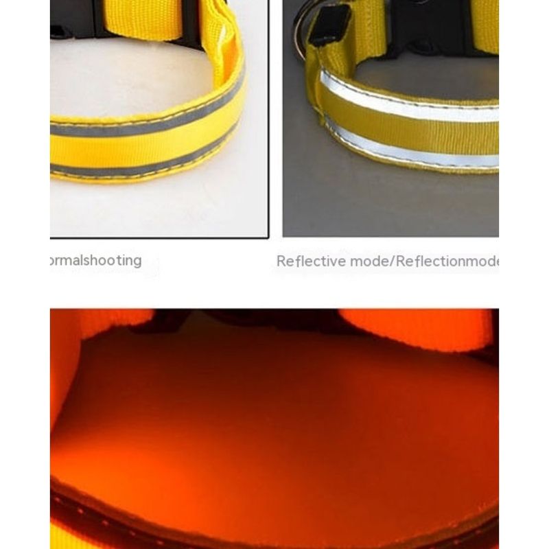 Collare per cani ricaricabile tramite USB, luminoso, animale domestico di grandi dimensioni_voghion.com