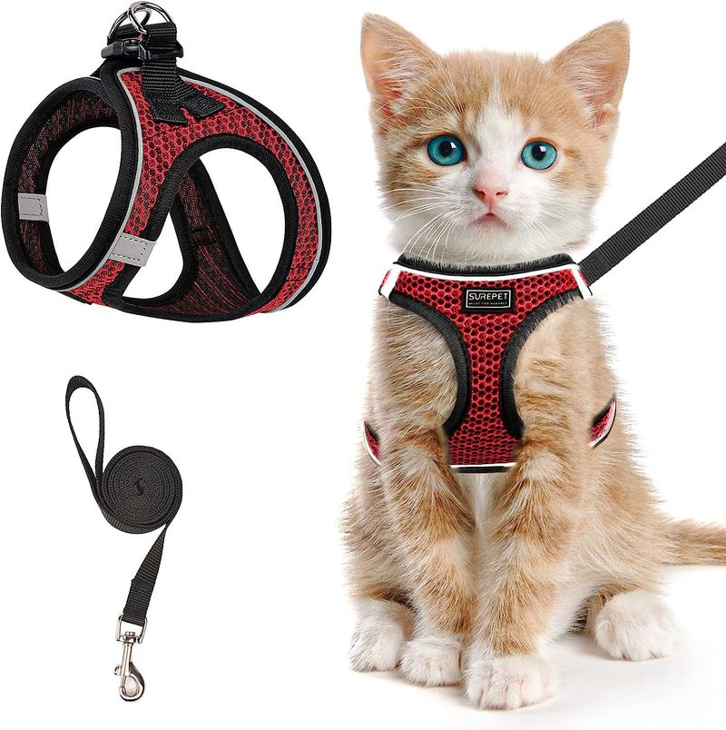 Harness Cat Collar Vest Style Leash Reflective Breathable Dog Rope Pet Supplies_voghion.com