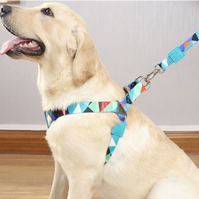 Leash Supplies Rope Chain Walking Teddy Small Medium Large Dog Vest Style Anti-Escape Harness_voghion.com
